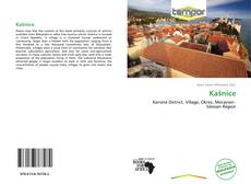 Buchcover von Kašnice