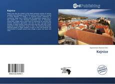 Couverture de Kejnice