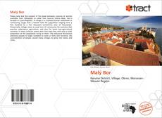 Bookcover of Malý Bor