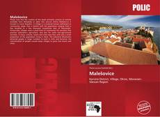 Capa do livro de Malešovice 