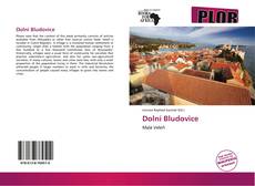 Buchcover von Dolní Bludovice