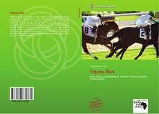 Capa do livro de Tejano Run 