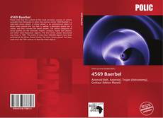 Capa do livro de 4569 Baerbel 