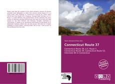 Capa do livro de Connecticut Route 37 