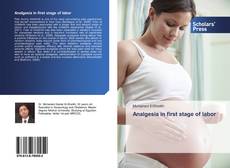 Buchcover von Analgesia in first stage of labor