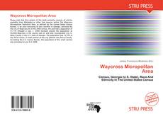 Buchcover von Waycross Micropolitan Area