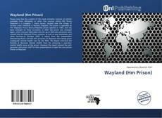 Copertina di Wayland (Hm Prison)