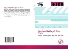 Couverture de Wayland (Village), New York