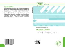 Bookcover of Wayland, Ohio