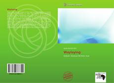 Copertina di Waylaying