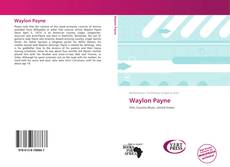 Bookcover of Waylon Payne