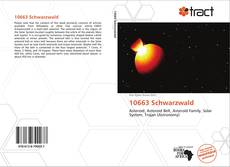 Portada del libro de 10663 Schwarzwald