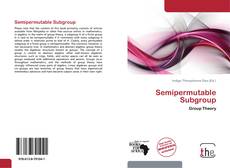 Copertina di Semipermutable Subgroup