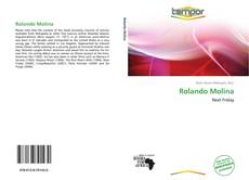 Portada del libro de Rolando Molina