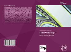 Portada del libro de Semir Osmanagić