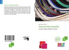 Bookcover of Tekantó Municipality