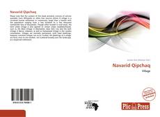 Couverture de Navarid Qipchaq