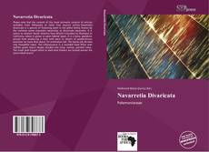 Portada del libro de Navarretia Divaricata