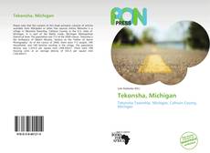 Bookcover of Tekonsha, Michigan