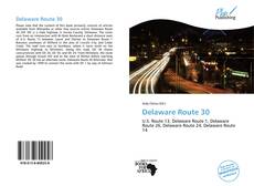 Bookcover of Delaware Route 30