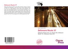 Portada del libro de Delaware Route 37