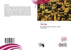 Capa do livro de Tel Hai 