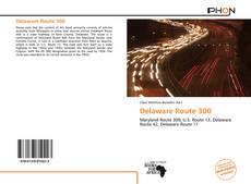 Copertina di Delaware Route 300