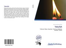 Capa do livro de Tekufah 