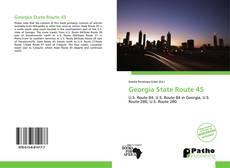 Capa do livro de Georgia State Route 45 