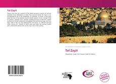 Bookcover of Tel Zayit