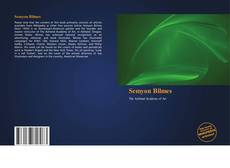 Capa do livro de Semyon Bilmes 