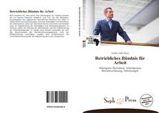 Capa do livro de Betriebliches Bündnis für Arbeit 