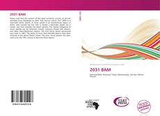 Buchcover von 2031 BAM