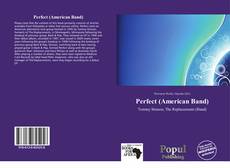 Portada del libro de Perfect (American Band)