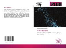 Couverture de 11673 Baur