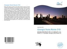 Capa do livro de Georgia State Route 310 