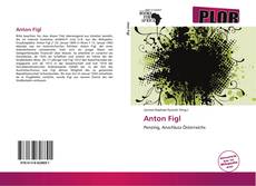 Anton Figl kitap kapağı