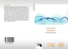 Buchcover von Senabria