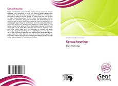 Capa do livro de Senachewine 