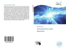 Capa do livro de Senachwine Lake 