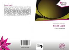 Portada del libro de Senad Lupić