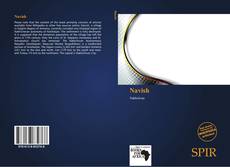 Bookcover of Navish