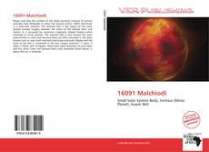 Couverture de 16091 Malchiodi