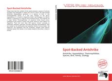 Capa do livro de Spot-Backed Antshrike 