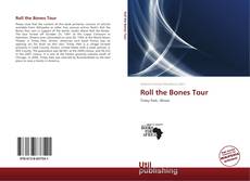 Portada del libro de Roll the Bones Tour