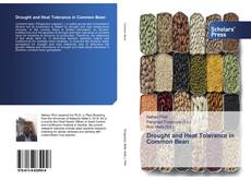 Buchcover von Drought and Heat Tolerance in Common Bean