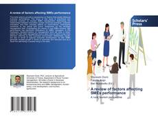 A review of factors affecting SMEs performance kitap kapağı