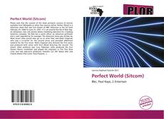 Buchcover von Perfect World (Sitcom)