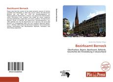 Capa do livro de Bezirksamt Berneck 