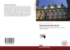 Bezirksamt Bruchsal的封面